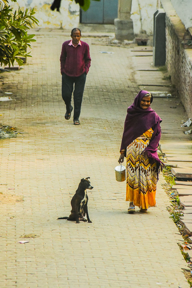 Street scene, woman, man and dog