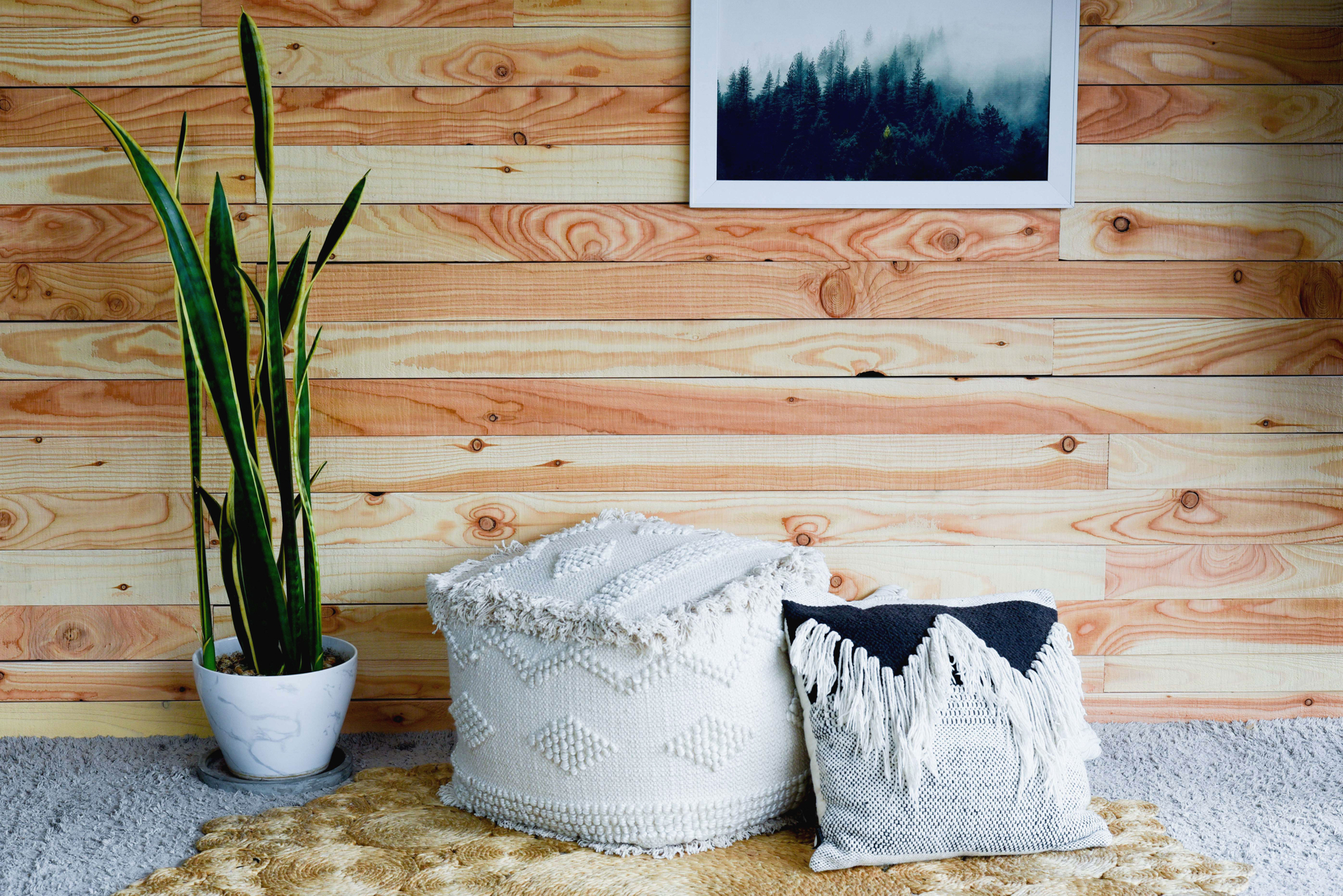 Define- Light timber wall,poof, plant, pillow