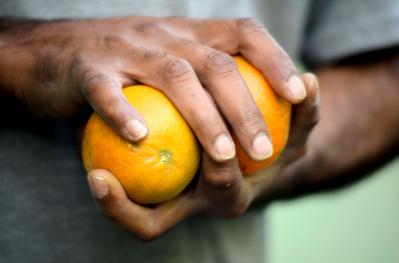 brown Hands holding oranges