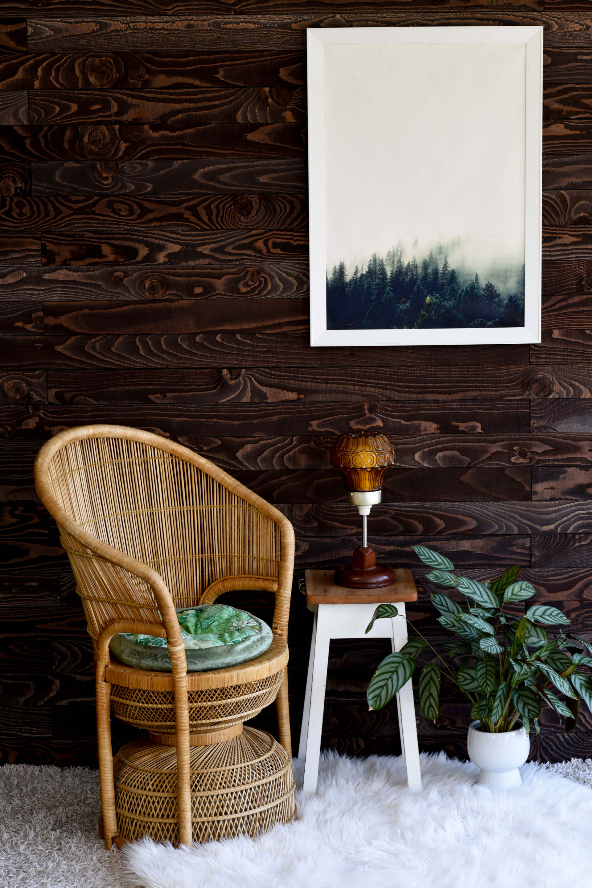 Define- dark wood wall, chair plant and picture